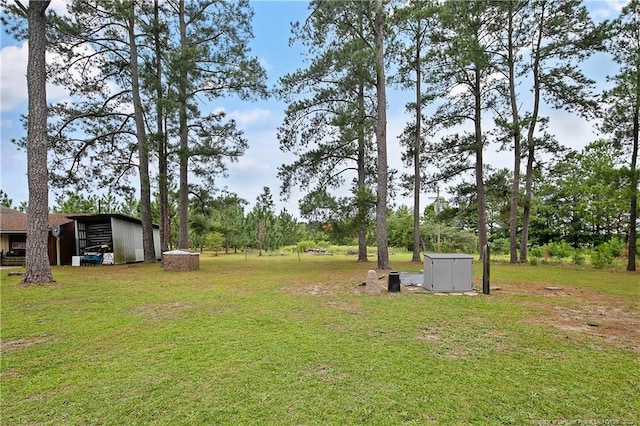 view of yard featuring an outdoor structure