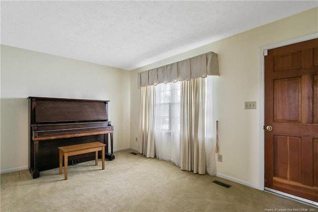 miscellaneous room with light carpet and a textured ceiling