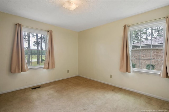 spare room featuring light colored carpet and a textured ceiling