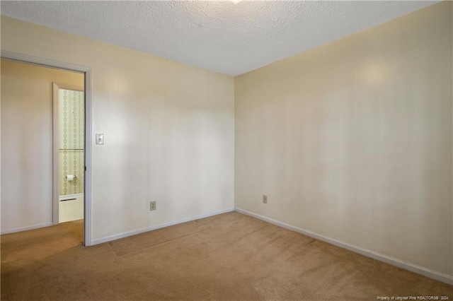 unfurnished room featuring light carpet and a textured ceiling