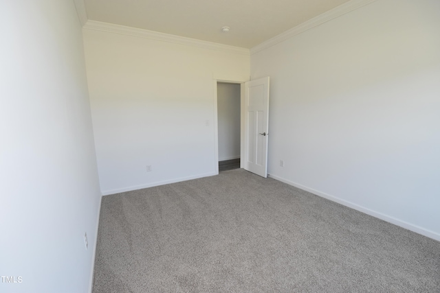 spare room with carpet floors and ornamental molding