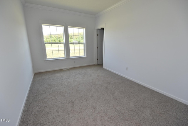 empty room with carpet floors and crown molding