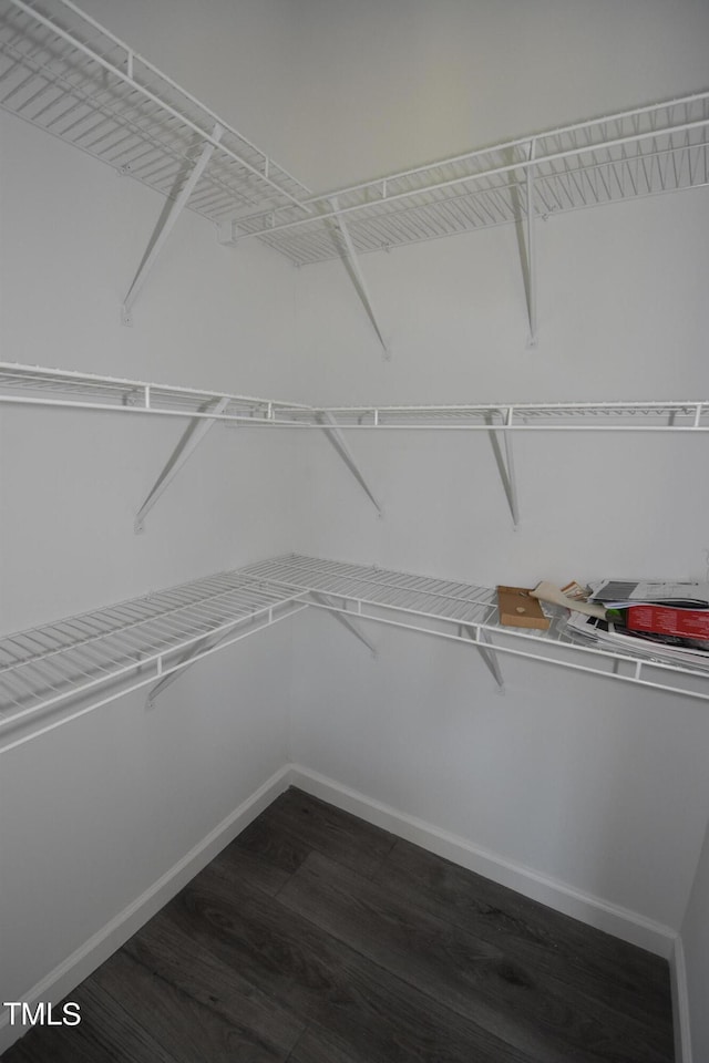 walk in closet featuring dark hardwood / wood-style flooring