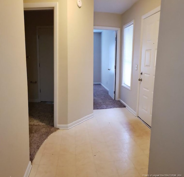 interior space with light colored carpet