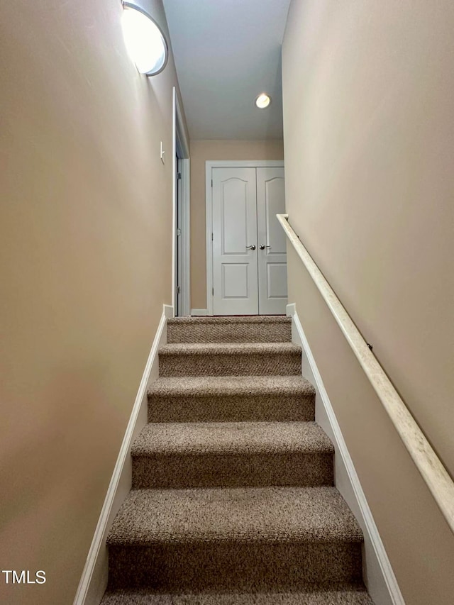 staircase featuring carpet flooring