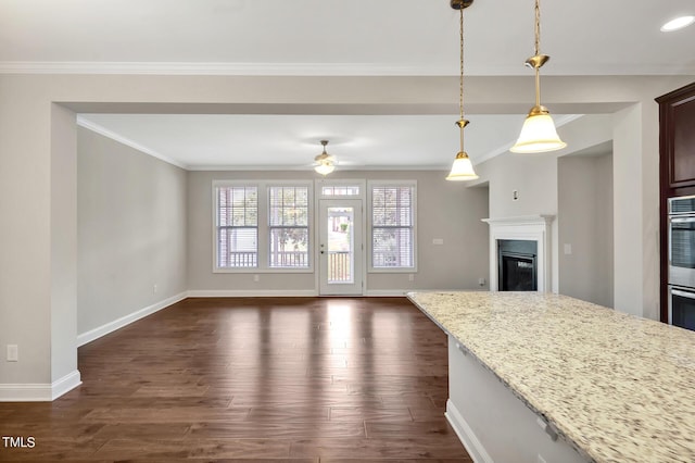 1215 Alston Forest Dr, Cary, NC 27519 - kitchen with dark wood-type flooring, a glass covered fireplace, open floor plan, pendant lighting, and a ceiling fan
