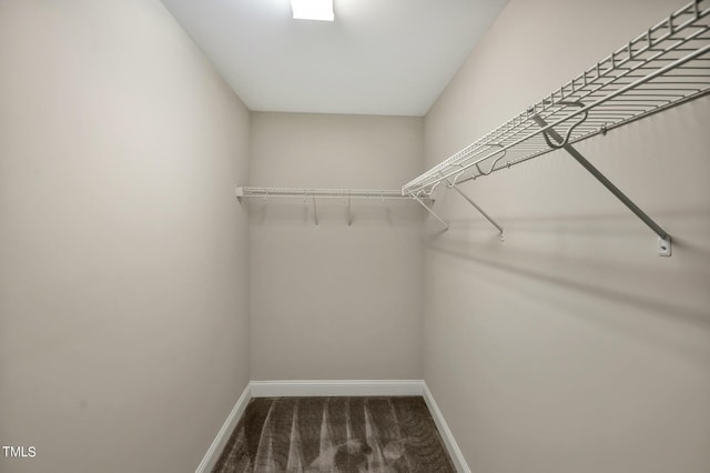 1215 Alston Forest Dr, Cary, NC 27519 - walk in closet featuring carpet