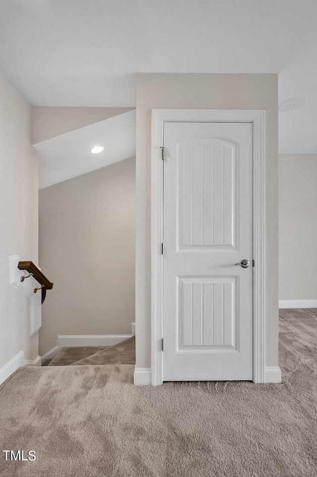 interior space featuring carpet