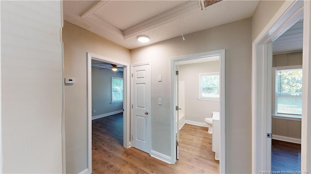 corridor with hardwood / wood-style flooring and a raised ceiling