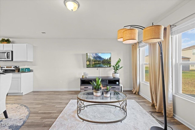 living room featuring light hardwood / wood-style floors