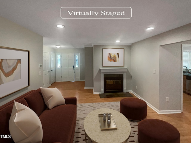 living room featuring light wood-type flooring