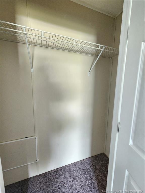 spacious closet featuring carpet flooring