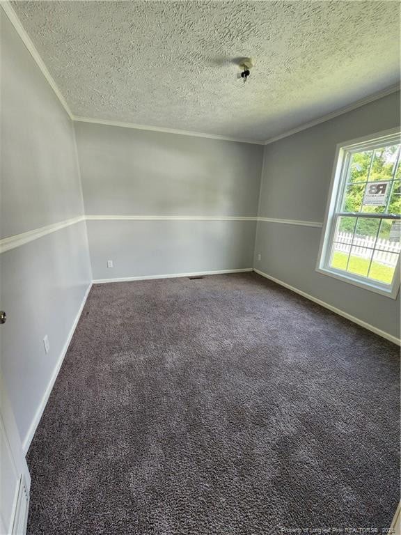 carpeted spare room with a textured ceiling and crown molding