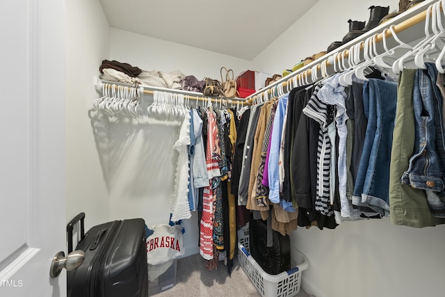 spacious closet featuring carpet