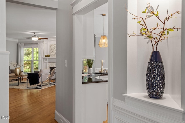 hall featuring wood-type flooring and crown molding