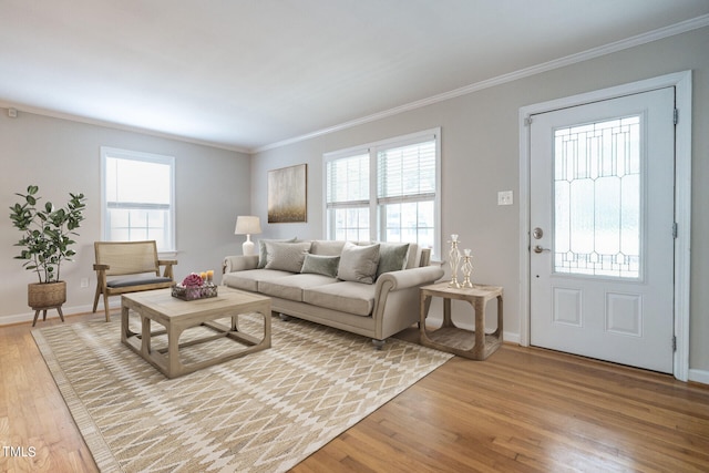 living room featuring crown molding and light hardwood / wood-style flooring