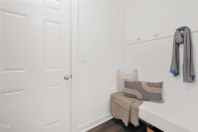 mudroom featuring dark wood-type flooring