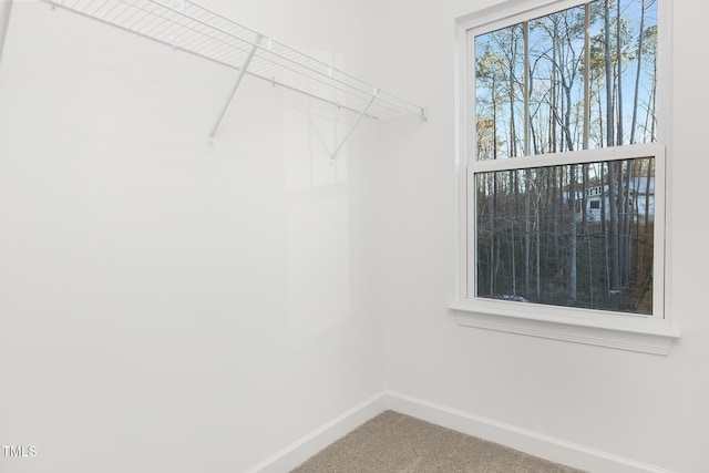 walk in closet featuring carpet flooring