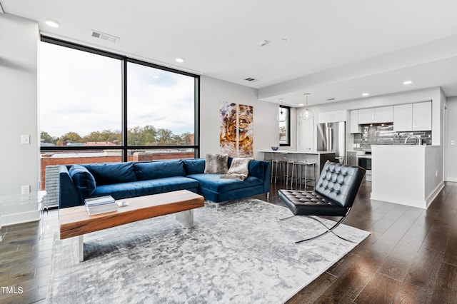 living room with sink and dark hardwood / wood-style flooring