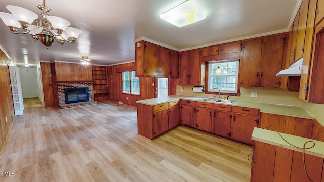 kitchen featuring light wood-type flooring, ornamental molding, and sink