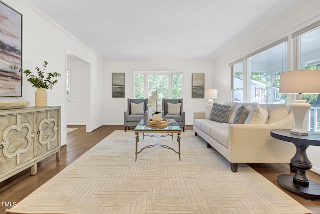 living room featuring plenty of natural light, crown molding, and wood-type flooring