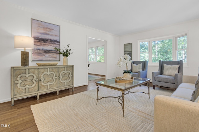 living room with ornamental molding and wood-type flooring