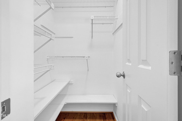 spacious closet featuring hardwood / wood-style floors