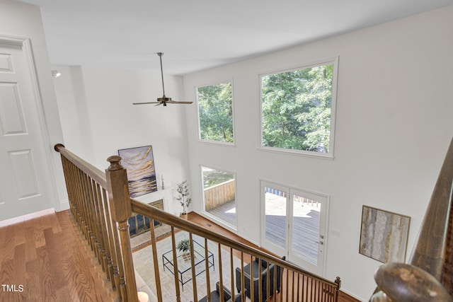 hall with hardwood / wood-style floors