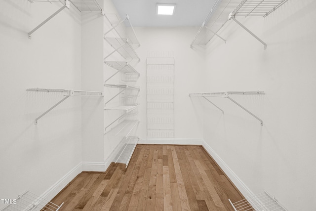 spacious closet with wood-type flooring