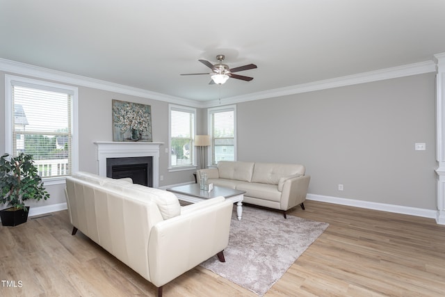 living room with ceiling fan, ornamental molding, and light hardwood / wood-style flooring