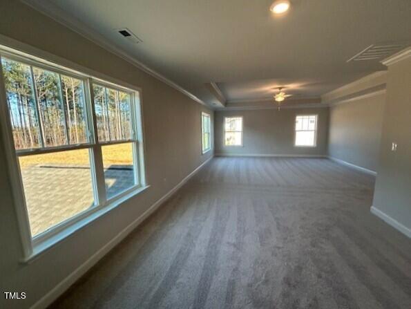 unfurnished room with ceiling fan, crown molding, carpet flooring, and a tray ceiling