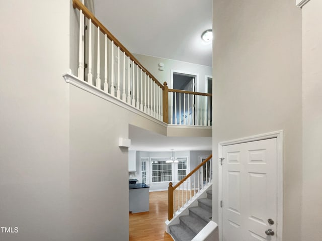 staircase with a towering ceiling and hardwood / wood-style floors