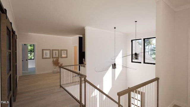 hallway featuring crown molding and light hardwood / wood-style floors