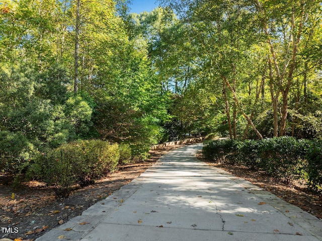 3105 Cone Manor Ln, Raleigh, NC 27613 - view of street with a view of trees