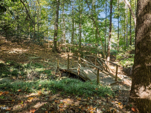 3105 Cone Manor Ln, Raleigh, NC 27613 - view of undeveloped land