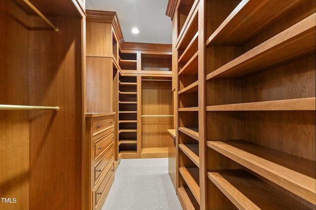 spacious closet featuring light colored carpet