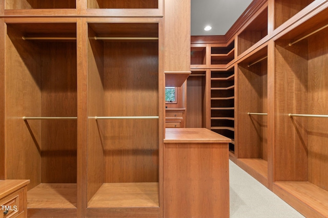 view of spacious closet