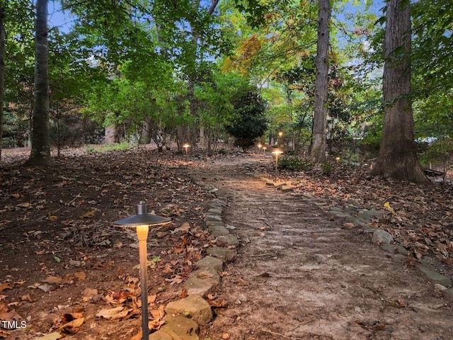 3105 Cone Manor Ln, Raleigh, NC 27613 - view of yard