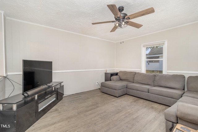 living room featuring a textured ceiling, light hardwood / wood-style floors, ceiling fan, and crown molding