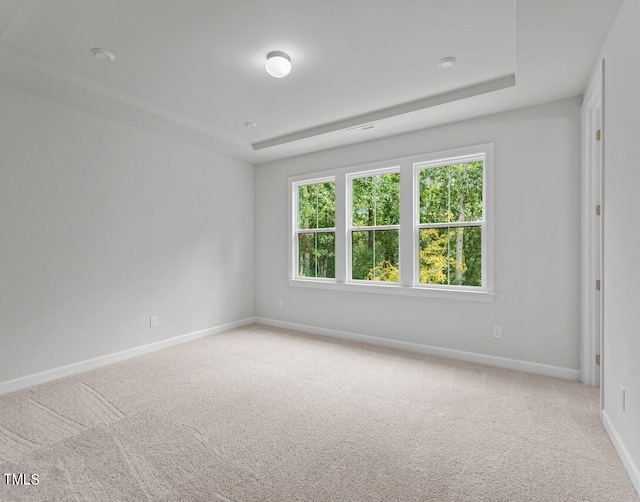 4505 Mint Leaf Ln, Raleigh, NC 27612 - spare room featuring baseboards and light colored carpet