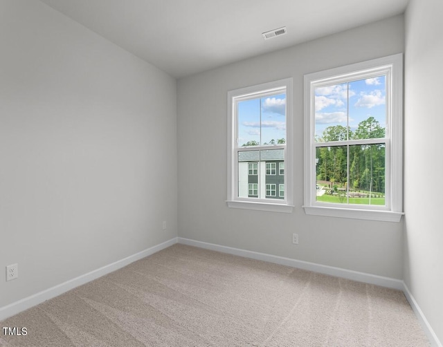 4505 Mint Leaf Ln, Raleigh, NC 27612 - spare room featuring healthy amount of natural light, carpet, and baseboards