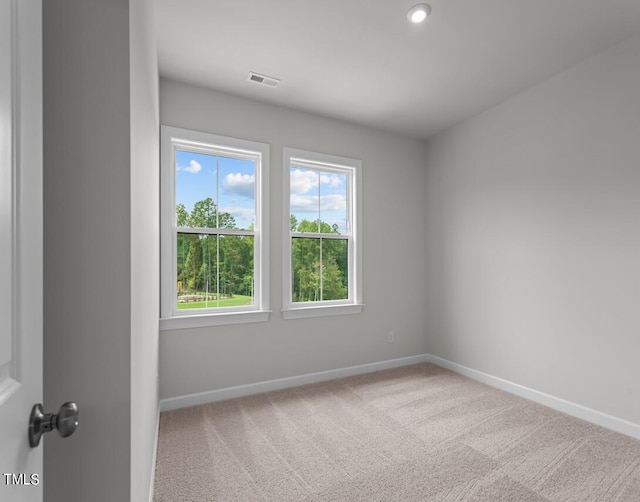 4505 Mint Leaf Ln, Raleigh, NC 27612 - spare room with baseboards and carpet flooring