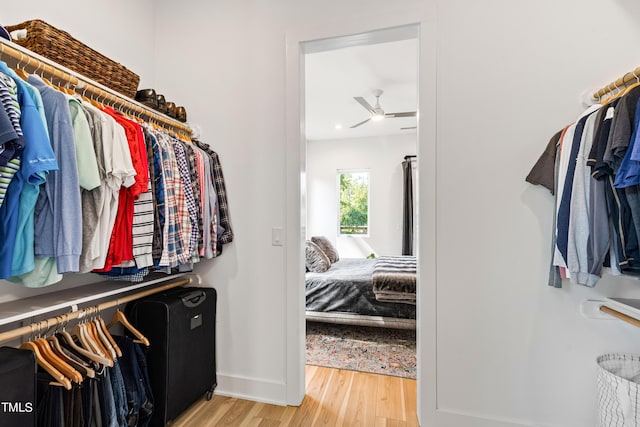 walk in closet featuring a ceiling fan and wood finished floors