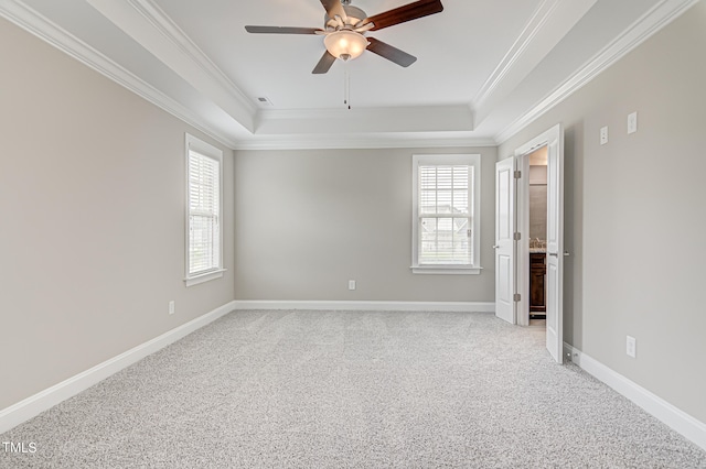 empty room with light carpet, a tray ceiling, and plenty of natural light