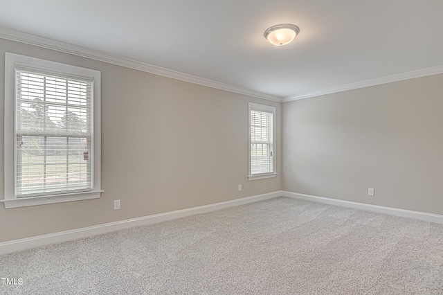 empty room with carpet and ornamental molding