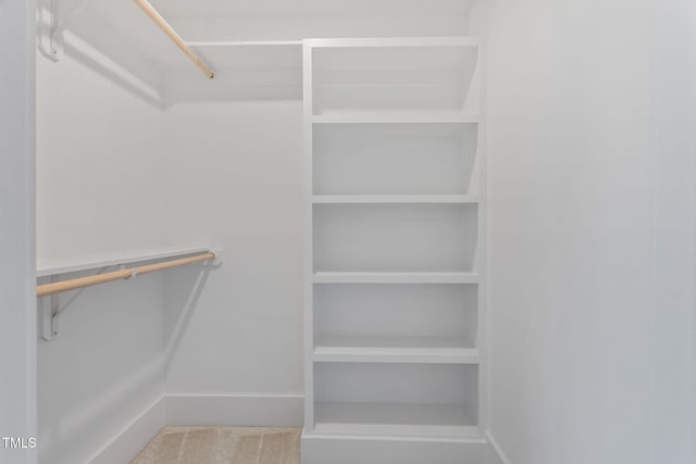 view of walk in closet