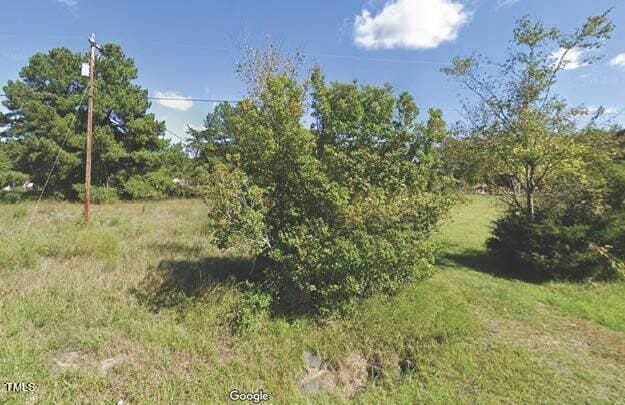 0 N NC Highway 119, Mebane, NC 27302 - photo 3
