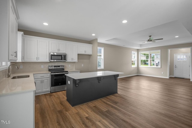 kitchen featuring white cabinets, stainless steel appliances, a tray ceiling, a center island, and sink