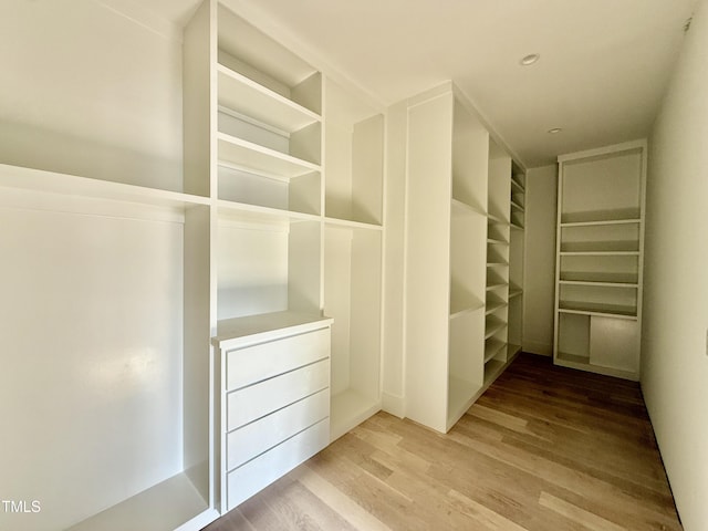 spacious closet with hardwood / wood-style floors