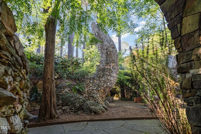 view of yard with a patio